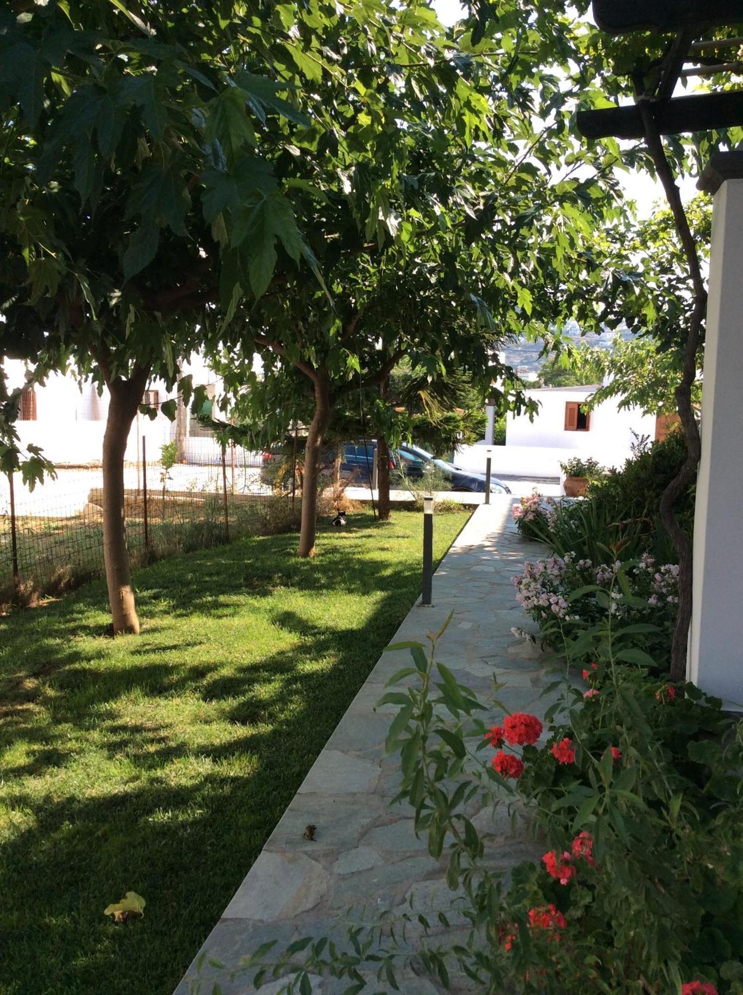 Eleana Studios Skyros Zimmer foto
