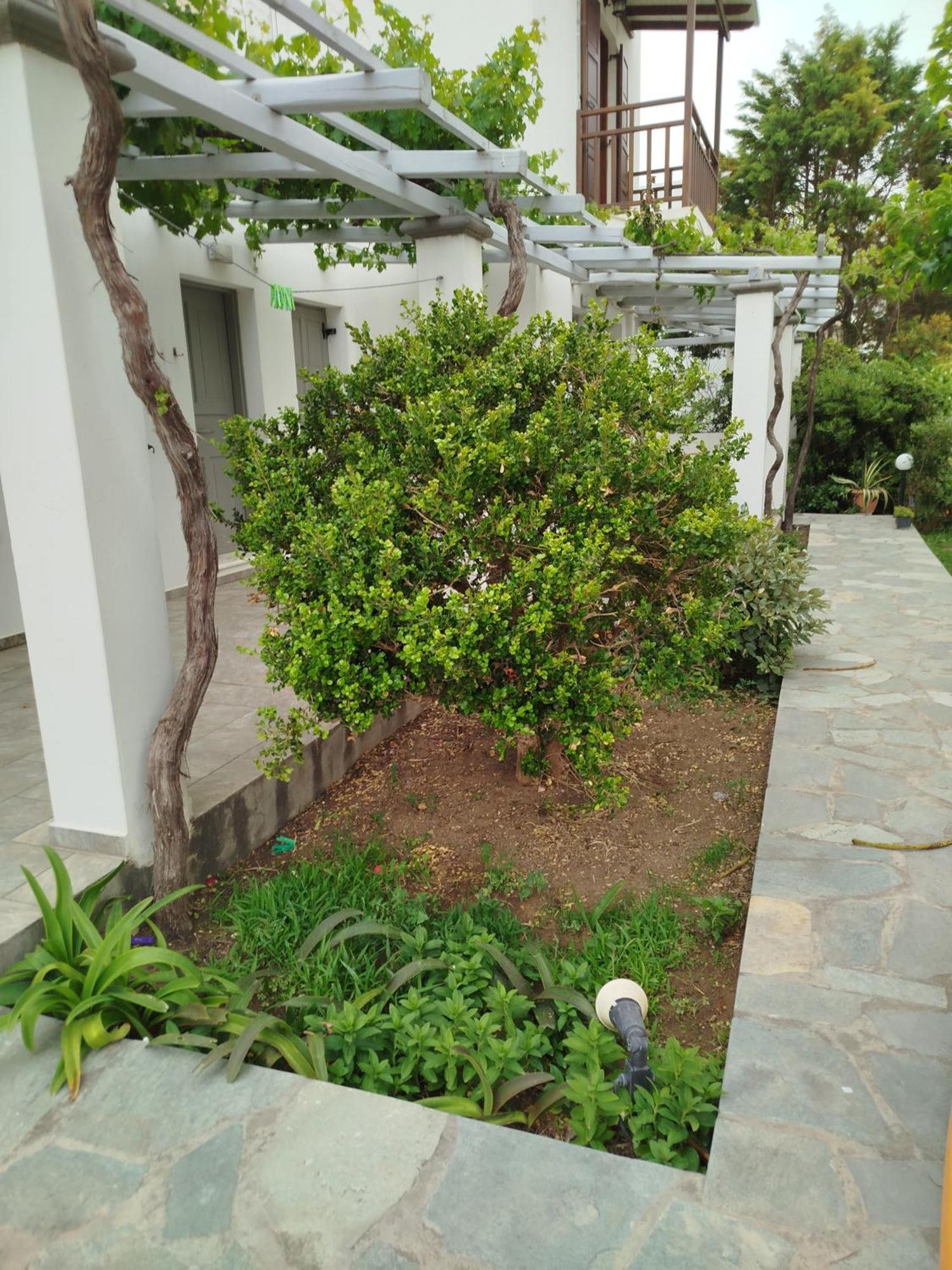 Eleana Studios Skyros Exterior foto